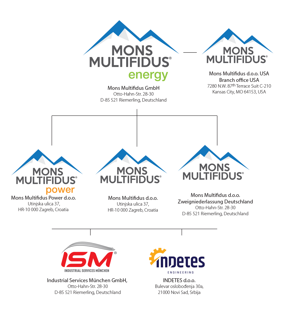 mmf structura